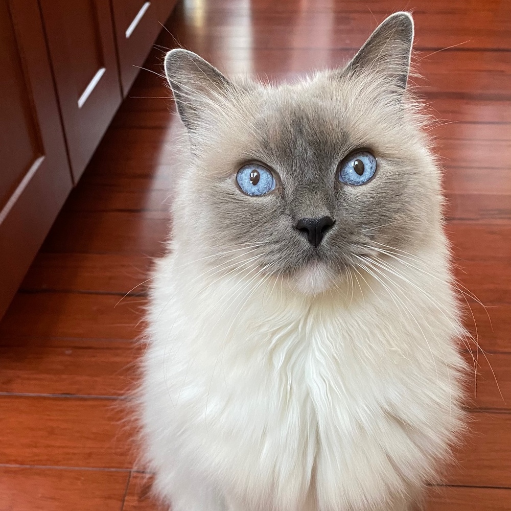 Meet your Posher, Sandra